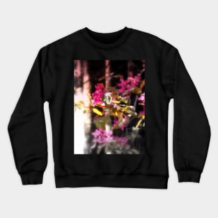 red Malus 'Radiant' crab apple blossoms #3 Crewneck Sweatshirt